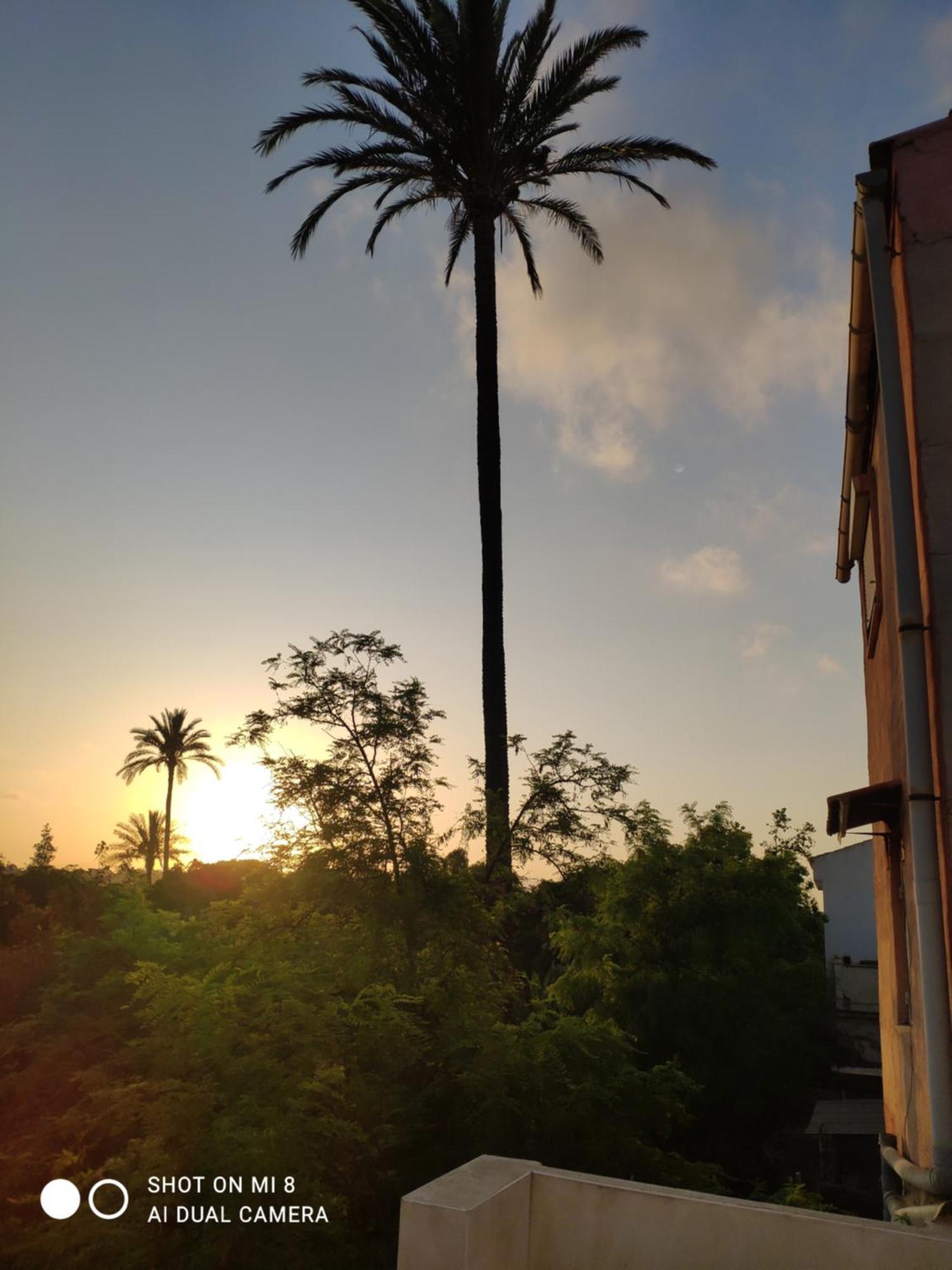 Apartamento En Alicante La Casa Azul Santa Faz Екстер'єр фото